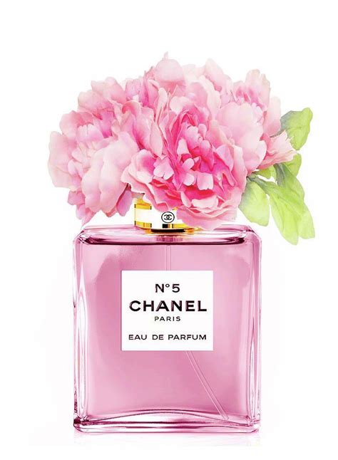 chanel perfume floral pink black|Chanel pink perfume price.